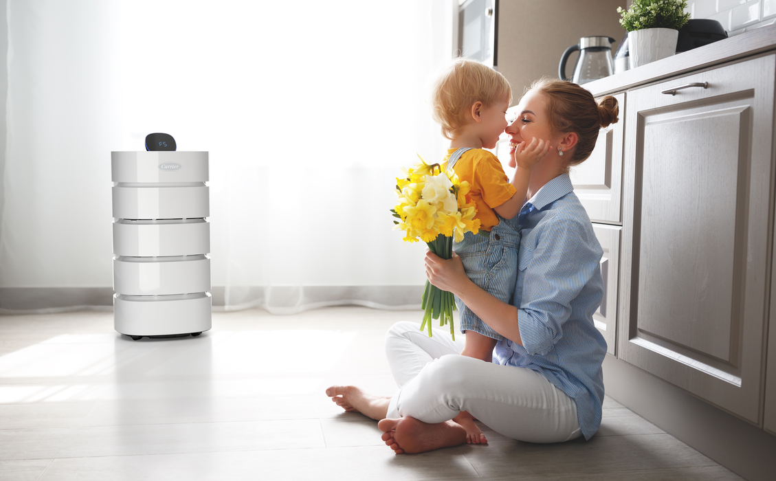 Room Air Purifier